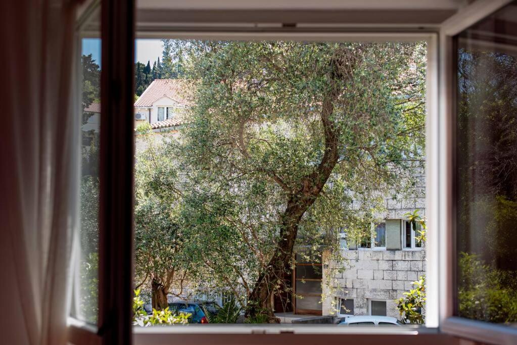 Ferienwohnung Lapad Cove Dubrovnik Exterior foto